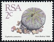 Stamp, Euphorbia symmetrica, South Africa,  , Cacti