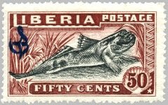 Atlantic Mudskipper (Periophthalmus barbarus) - Overprint