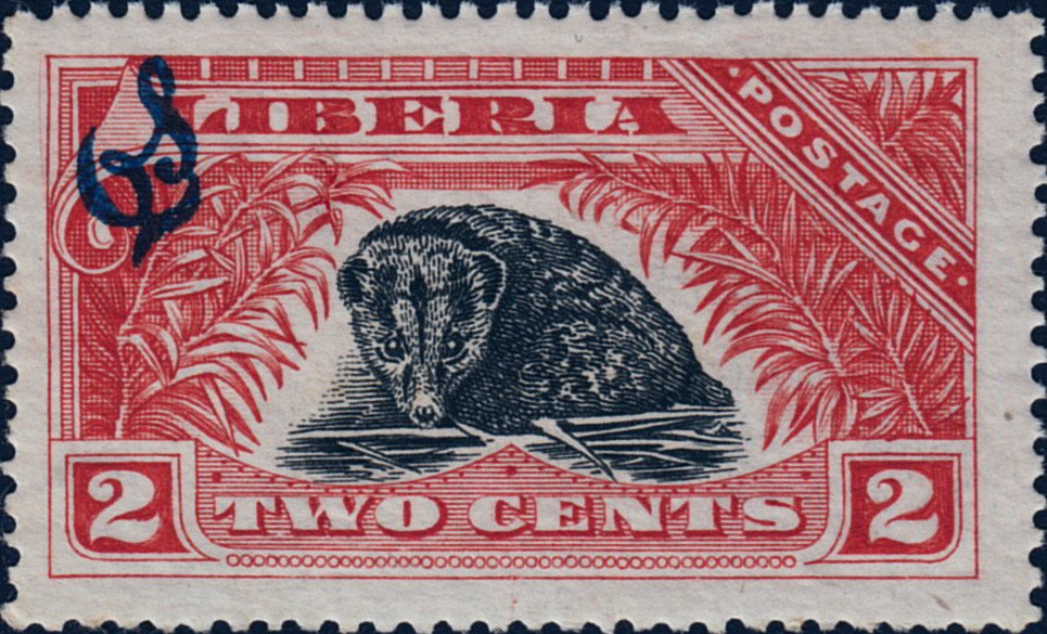 African Palm Civet (Nandinia binotata) - Overprint