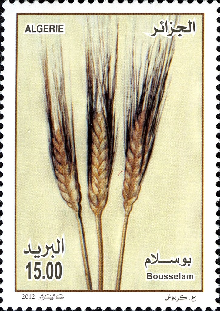 Agriculture and Food