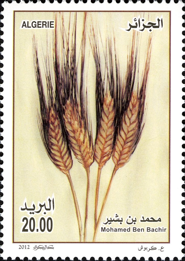 Agriculture and Food