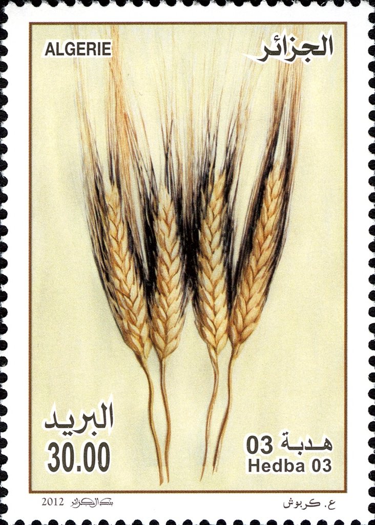 Agriculture and Food