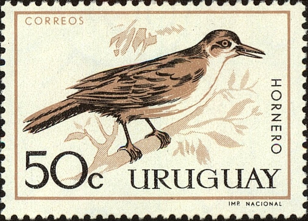 Rufous Hornero (Furnarius rufus)