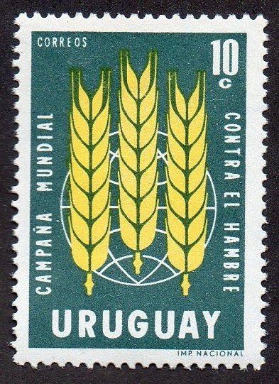 Global campaign aganist hunger