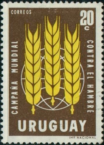 Global campaign against hunger