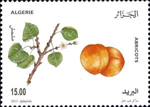Stamp, Abricots, Algeria,  , Fruits