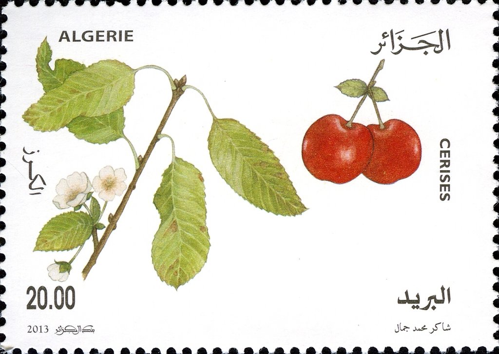 Cerises
