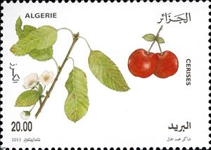 Stamp, Cerises, Algeria,  , Fruits