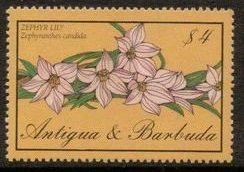 Stamp, Zephyr Lily, Antigua and Barbuda,  , Flowers