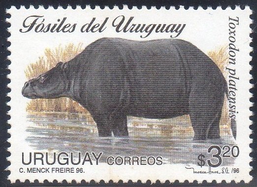 Toxodon platensis