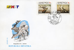 Red Deer (Cervus elaphus), White-tailed Eagle (Haliaeetus al