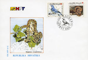Blue Rock Thrush (Monticola solitarius), European Ratsnake (