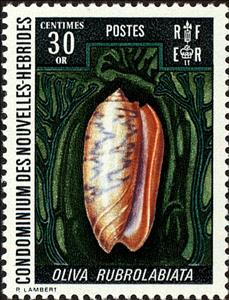 Stamp, Shellfish (Oliva rubrolabiata), Vanuatu,  , Shells