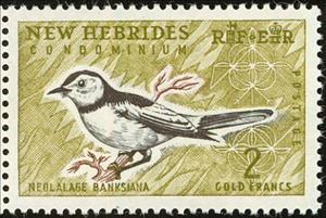 Stamp, Lalage aurea, Vanuatu,  , Birds
