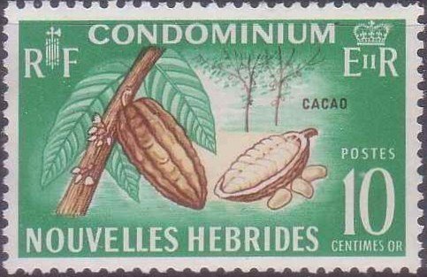 Cocoa pods (Theobroma cacao)