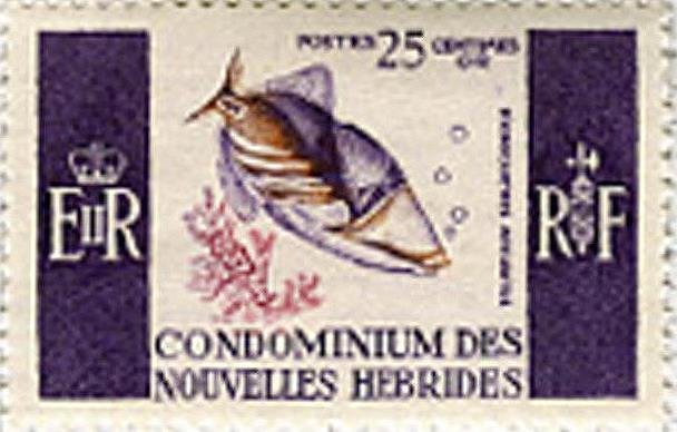 Picasso Triggerfish (Rhinecanthus aculeatus)