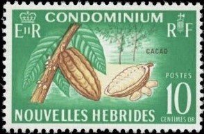 Cocoa pods (Theobroma cacao)