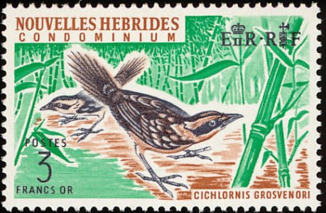 Cichlornis grosvenori