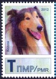 Stamp, Collie (Canis lupus familiaris), Transnistria,  , Mammals, Dogs, Animals (Fauna)
