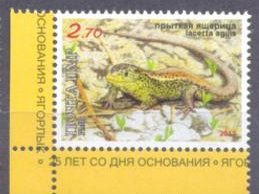 Sand Lizard (Lacerta agilis)