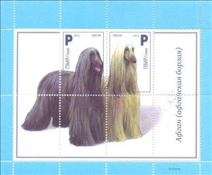 Souvenir Sheet, Afghan Hound (Canis lupus familiaris), Transnistria,  , Dogs