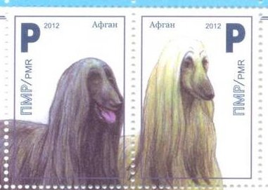 Se-tenant, Afghan Hound (Canis lupus familiaris), Transnistria,  , Dogs