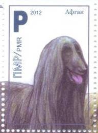 Stamp, Afghan Hound (Canis lupus familiaris), Transnistria,  , Mammals, Dogs, Animals (Fauna)