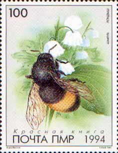 Stamp, Bumblebee, Transnistria,  , Insects
