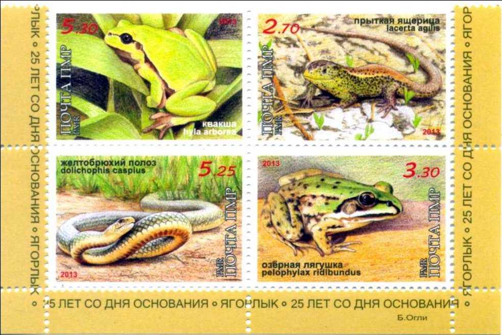 Reptiles