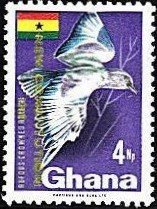Rufous-crowned Roller (Coracias naevia) - overprinted