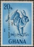 Cape Hare (Lepus capensis) - overprinted