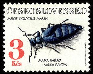 Stamp, Violet Oil Beetle (Meloe violaceus), Czechoslovakia,  , Insects, Beetles