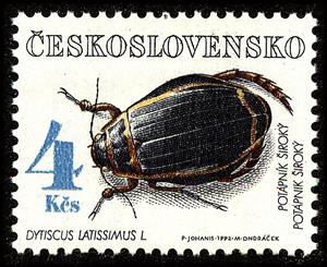 Stamp, Diving Beetle (Dytiscus latissimus), Czechoslovakia,  , Insects, Beetles
