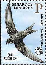 Stamp, Common Swift (Apus apus), Belarus,  , Birds, Animals (Fauna)