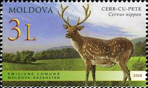 Stamp, Sika Deer (Cervus nippon), Moldova,  , Mammals, Animals (Fauna), Deer