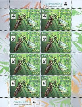 Green Club-tailed Dragonfly (Ophiogomphus cecilia)