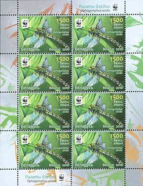 Green Club-tailed Dragonfly (Ophiogomphus cecilia)