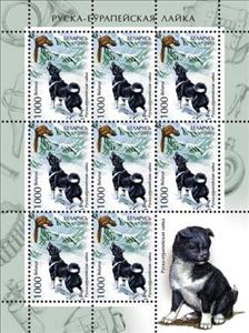 Mini Sheet, Siberian Laika (Canis lupus familiaris), Belarus,  , Dogs