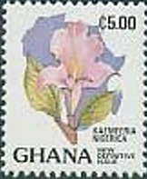 Nigerian Iris