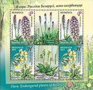Souvenir Sheet, Endangered plants of Belarus, Belarus,  , Flowers, Orchids, Plants (Flora)