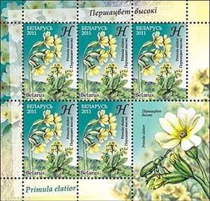 Mini Sheet, Primula elatior, Belarus,  , Flowers, Orchids