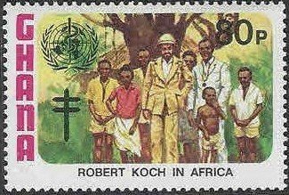 Koch, Africa