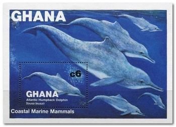 Atlantic Humpbacked Dolphin (Sousa teuszii)