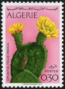 Stamp, Opuntia ficus-indica, Algeria,  , Flowers, Cacti, Plants (Flora)