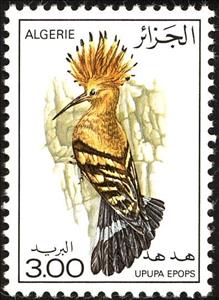Stamp, Eurasian Hoopoe (Upupa epops), Algeria,  , Birds, Animals (Fauna)