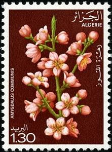 Stamp, Almond, Algeria,  , Trees, Flowers, Plants (Flora)