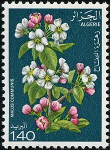 Stamp, Apple, Algeria,  , Flowers, Plants (Flora)