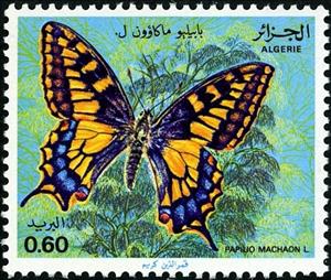 Stamp, Swallowtail (Papilio machaon), Algeria,  , Butterflies