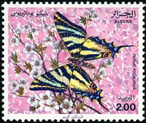 Stamp, Chinese Scarce Swallowtail (Papilio podalirius), Algeria,  , Butterflies