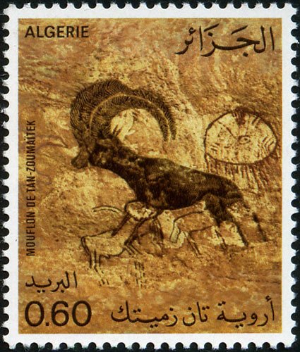 Mouflon (Tan-Zoumaïtek)
